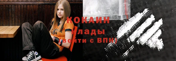 прущие грибы Краснослободск