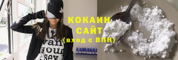 прущие грибы Краснослободск