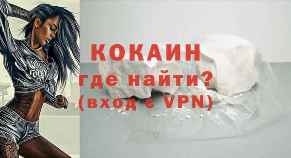 прущие грибы Краснослободск