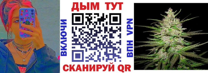 Марихуана сатива  Купить закладки  Тихвин 